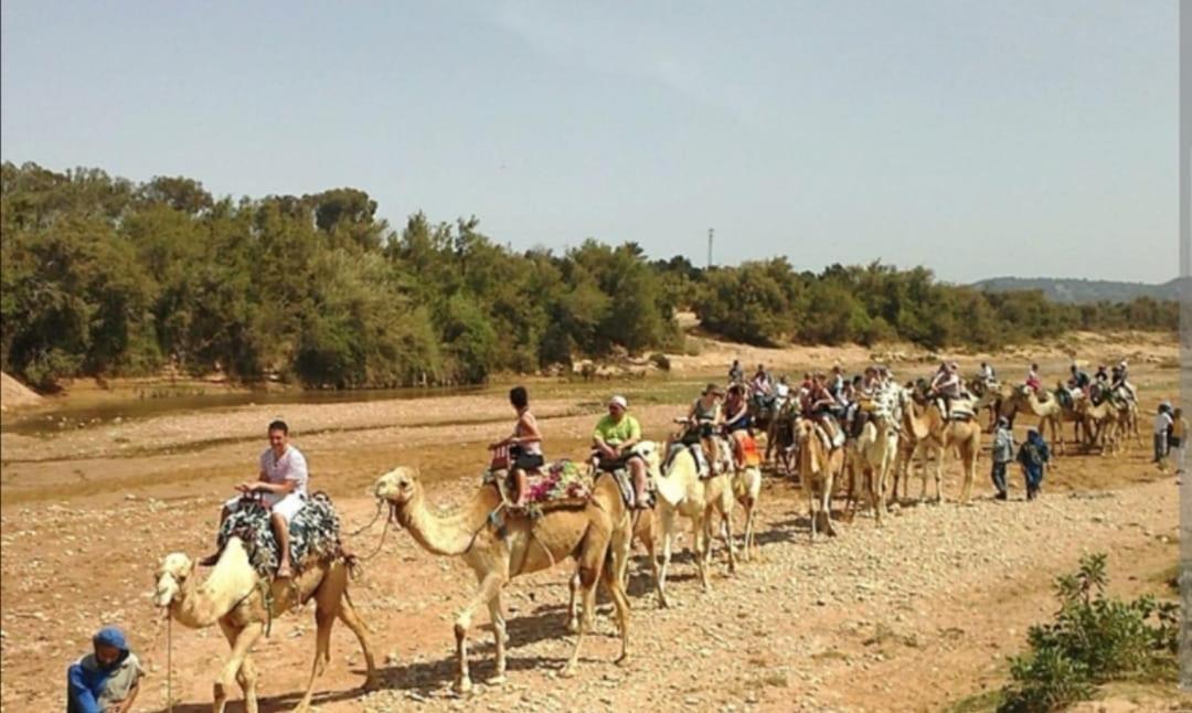 Riad Dar Salam Agadir Exteriör bild