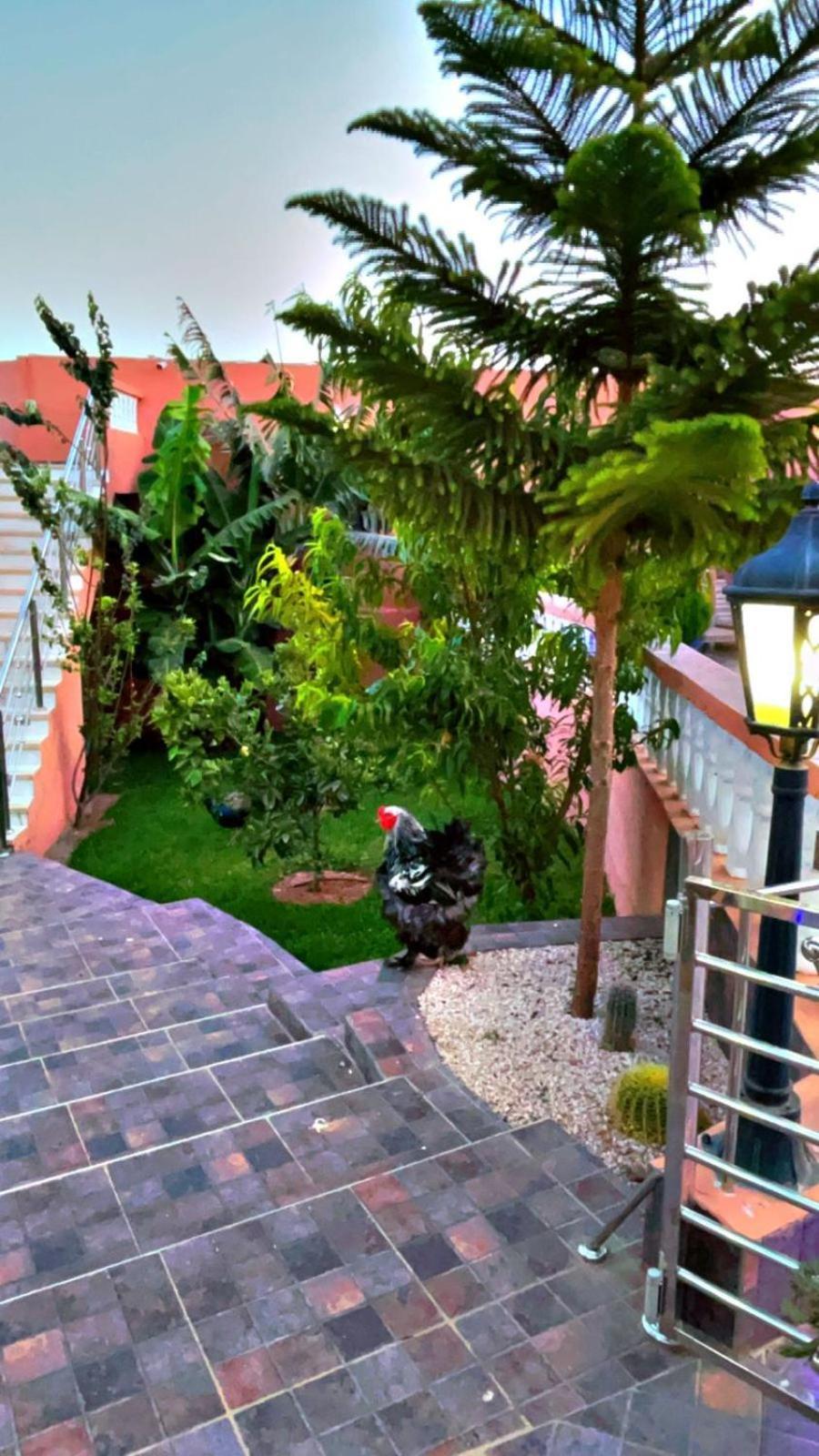 Riad Dar Salam Agadir Exteriör bild